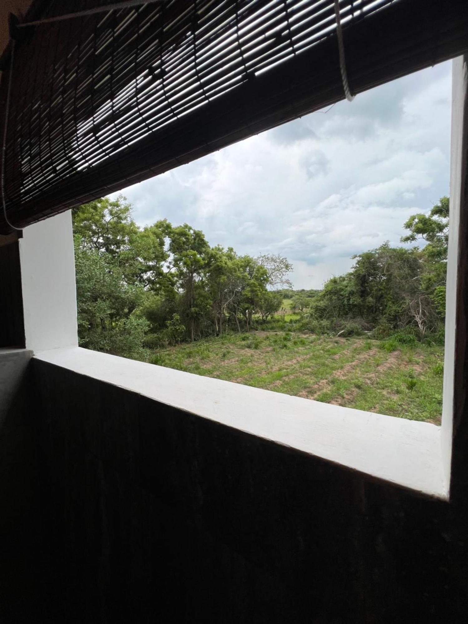 Tembo Cottage Wilpattu Exterior foto